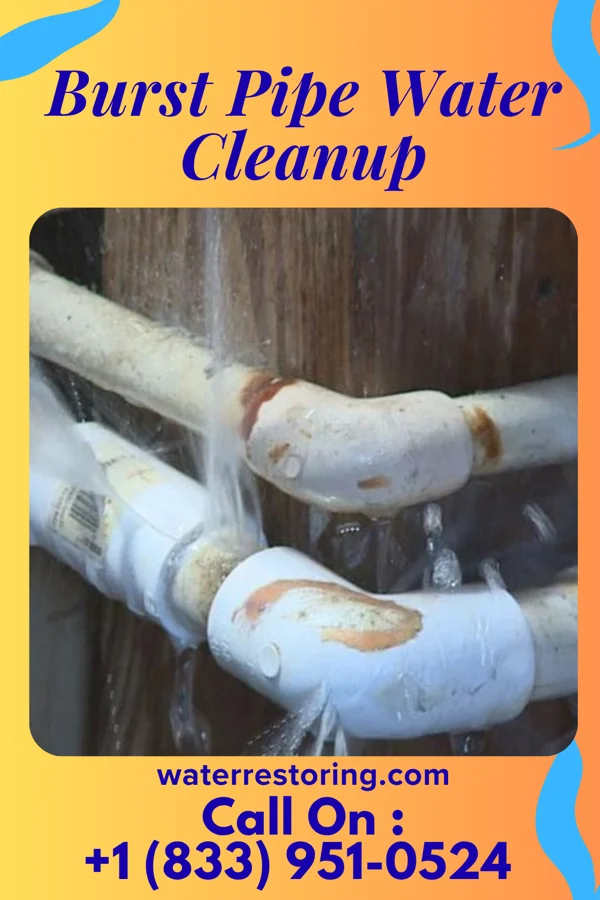 Burst Pipe Water Cleanup in Wellfleet, NE