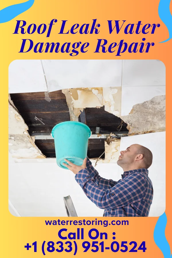 Roof Leak Water Damage Repair in Wellfleet, NE